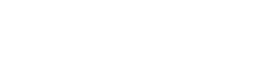 troon logo white